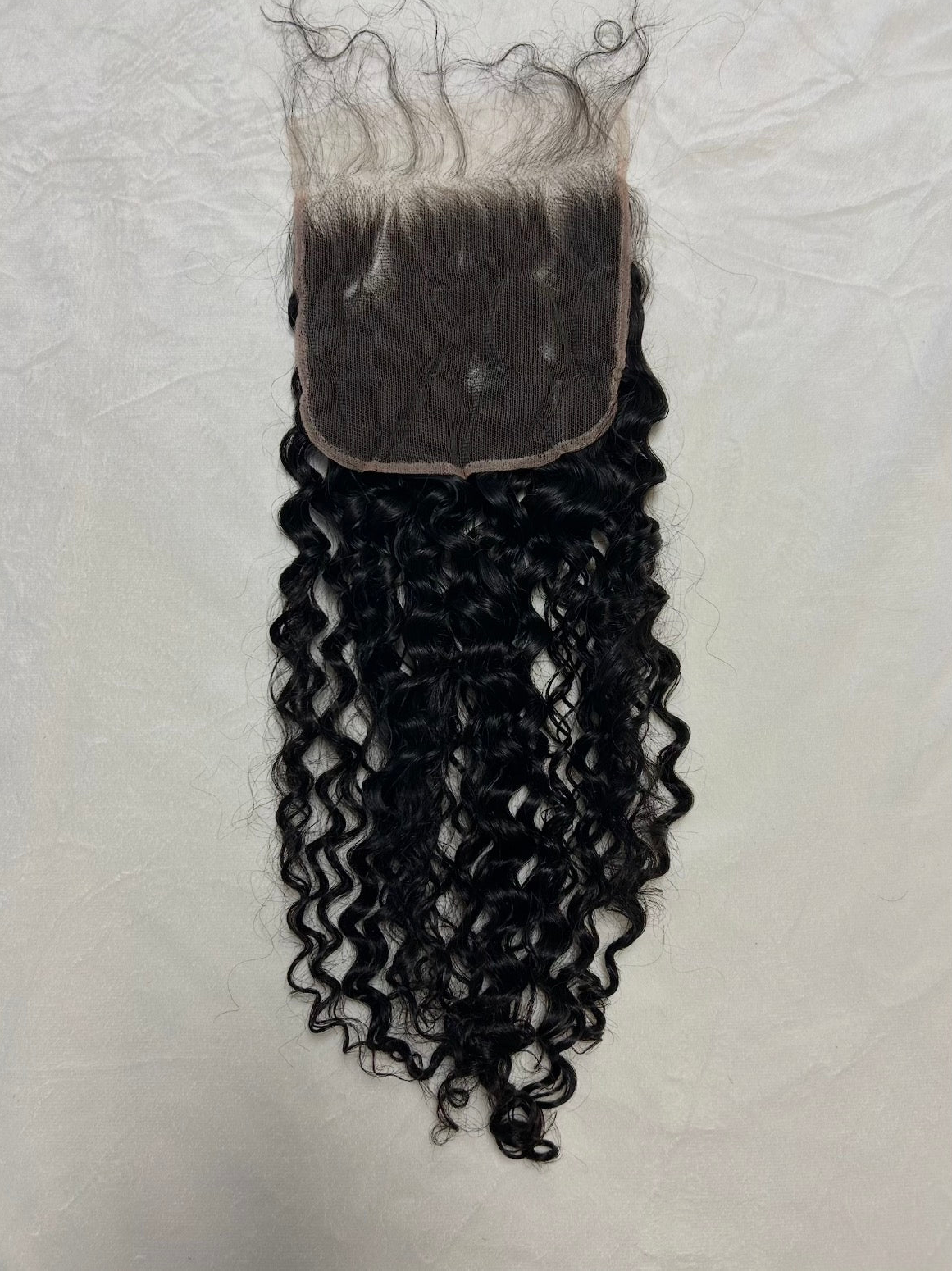Burmese Curly